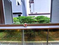 Fivenine (D15), Apartment #563663081